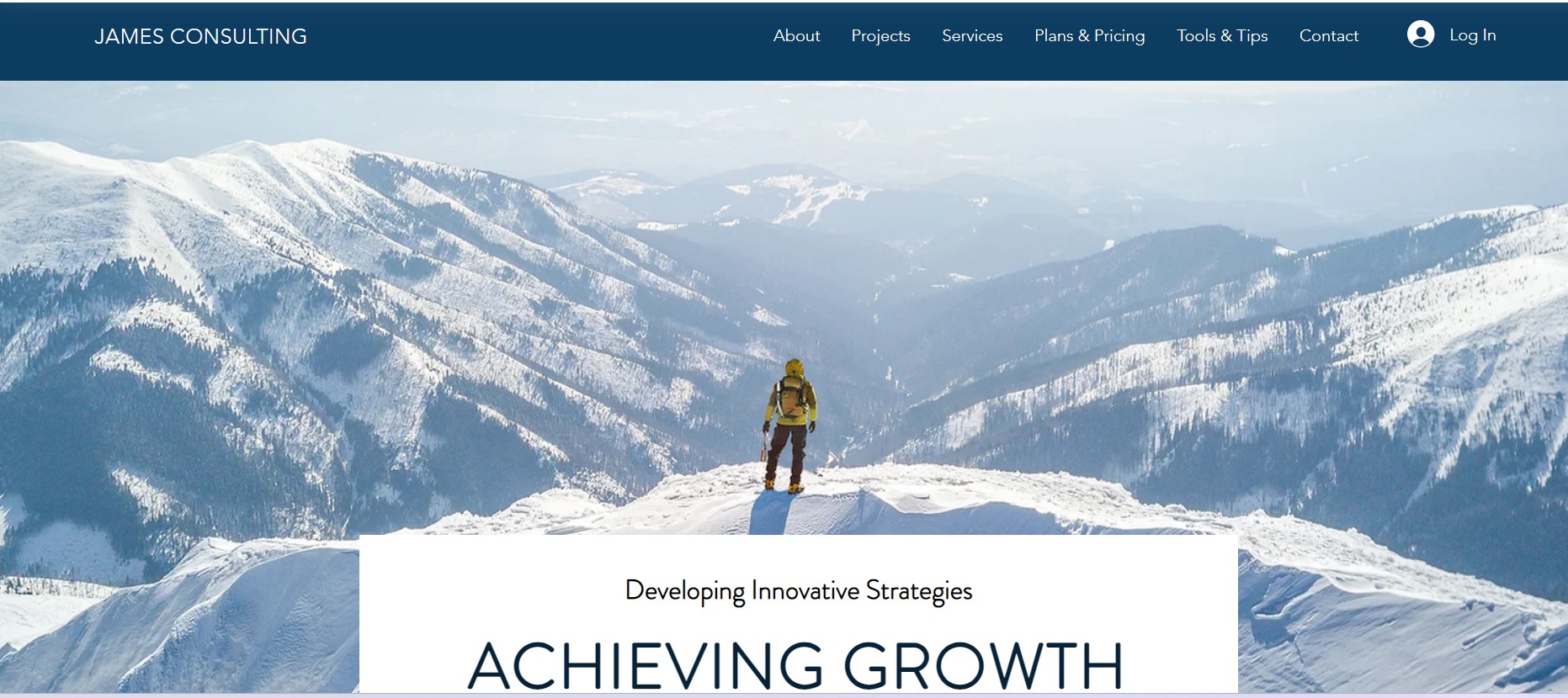 consulting-image